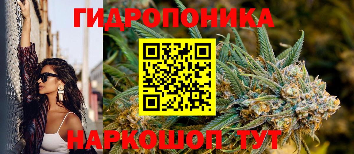Бошки Шишки сатива  Каннабис ГИДРОПОН  Петровск  Вход с VPN  МАРИХУАНА Ganja 